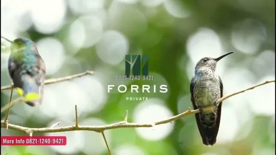 Forris Private Citra Garden City