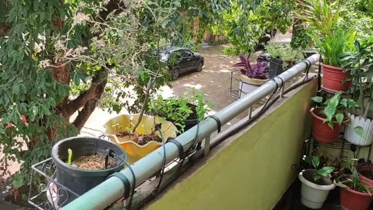 smart plant watering system / smart home, node mcu, CADIO, Alexa, drip irrigation
