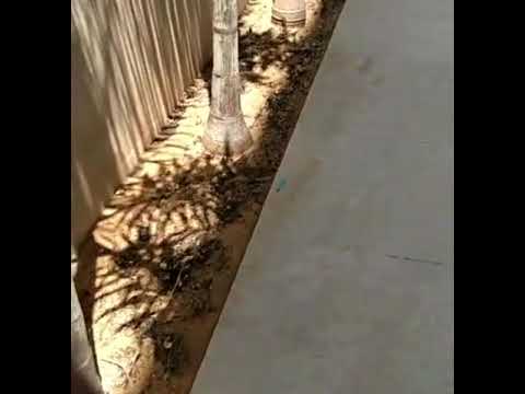 Smart Home Automation System & Security Solutions Company in UAE | ALAYOUBI TECHNOLOGIES