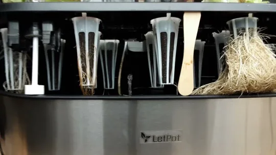 🌱LetPot LPH-SE Smart Hydroponics Growing System 🌱UPDATE🌱 Frozen Fruit Harvest & Windfalls