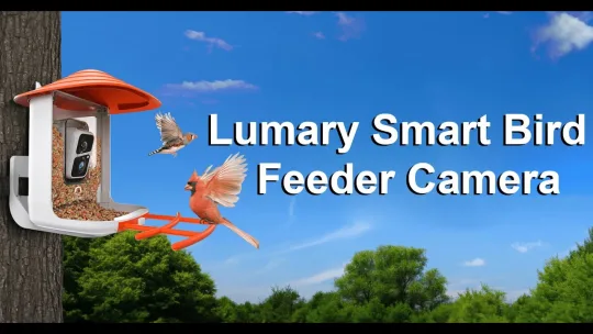 Lumary Smart Bird Feeder Camera