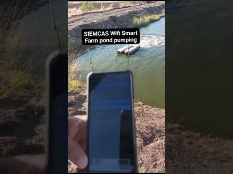 Smart Remote for Farm fish Pond pumping | SIEMCAS Wifi Smart Automation #shorts #smarthouse #iot