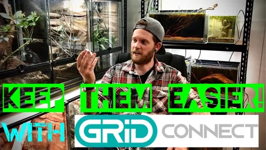 AUTOMATE Your REPTILE ROOM With The GRID CONNECT Smart Home System!