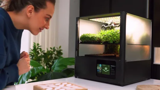 The Crop, a smart microgreen and mushroom growing system