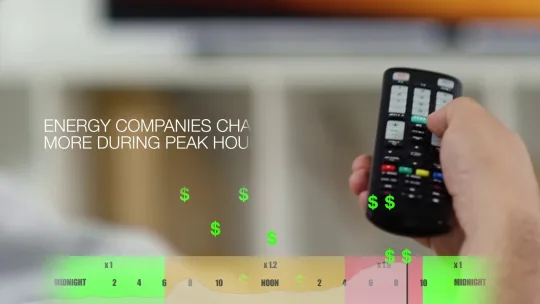EMPORIA Smart Home Enerry Management System